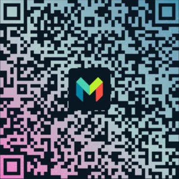 Monzo Silver 500